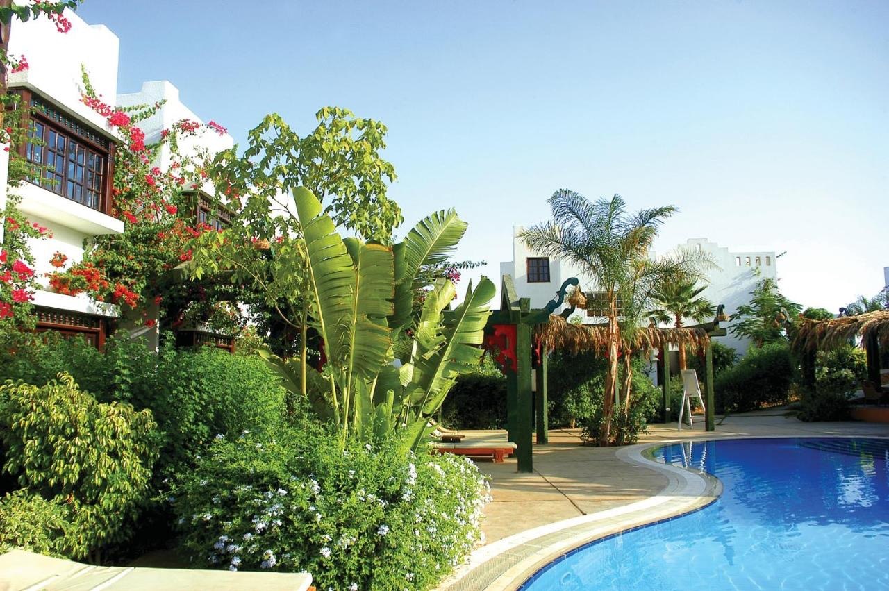 Holiday Apartment - Delta Sharm (Studio)