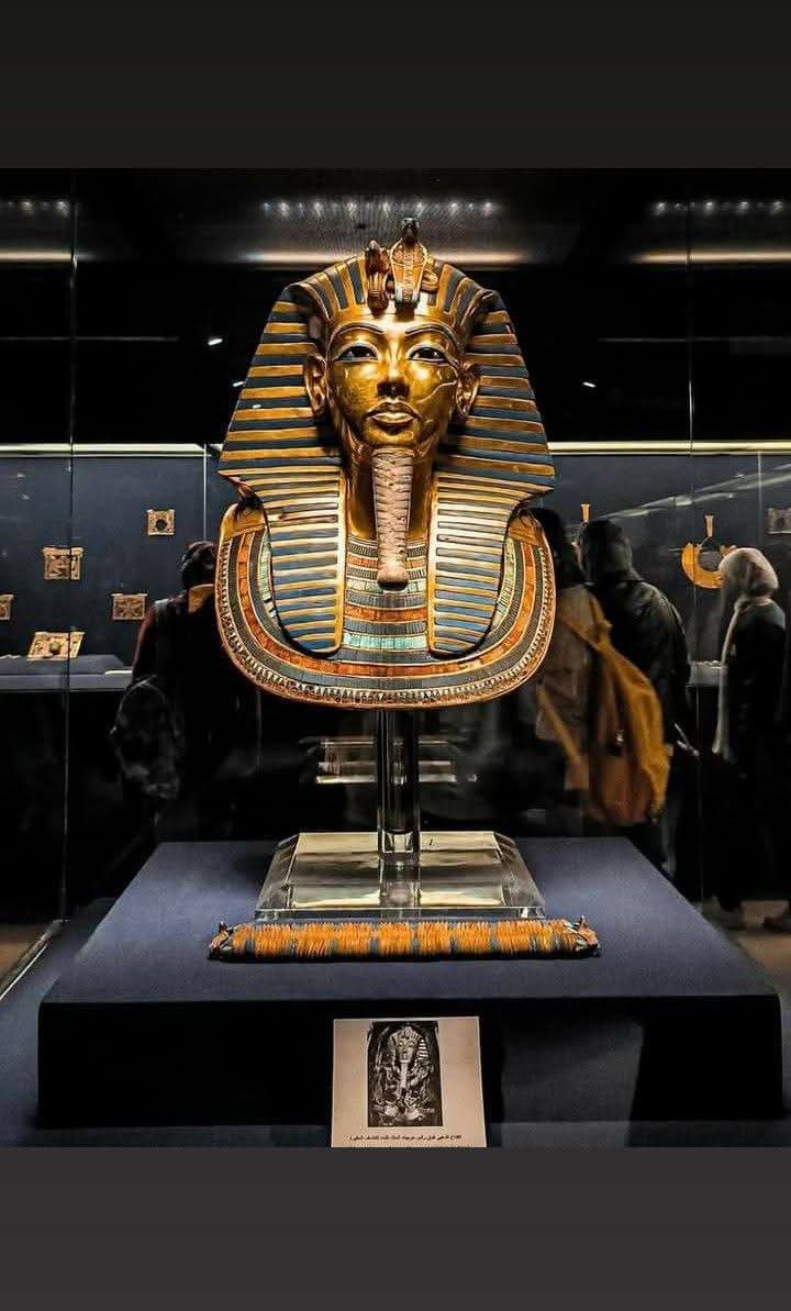 Cairo Trip – Pyramids, Old Museum, and Lunch on the Banks of the Nile