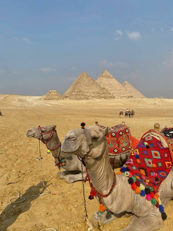Cairo Trip – Pyramids, Old Museum, and Lunch on the Banks of the Nile