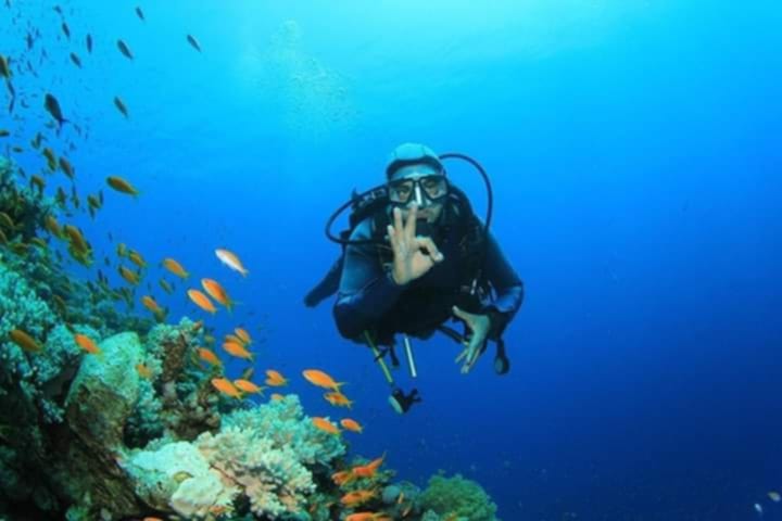 Advanced Diving – 45 Minutes (Licensed Divers)