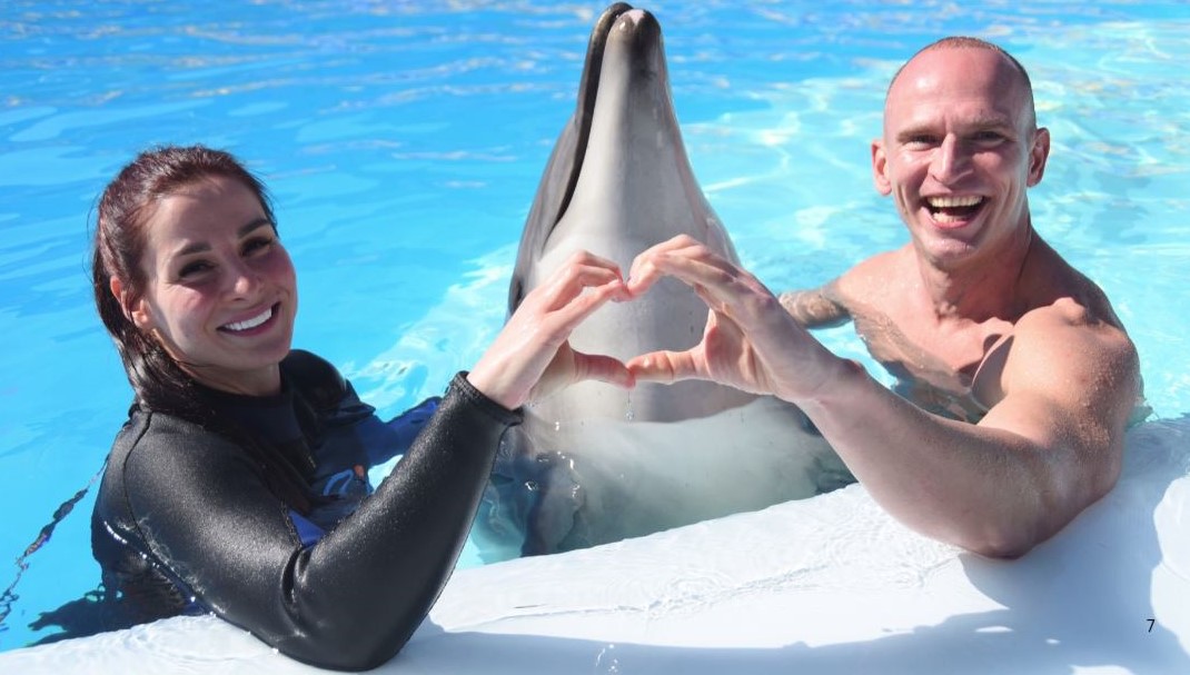 Dolphin Show & Swimming Experience