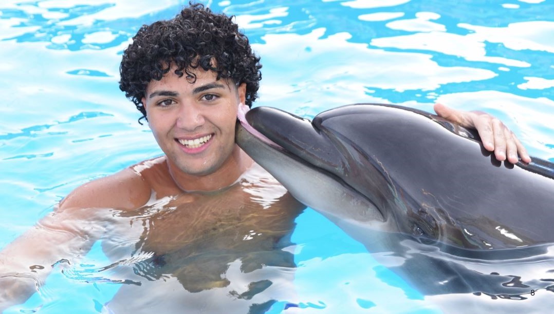 Dolphin Show & Swimming Experience
