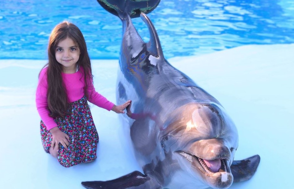 Dolphin Show & Swimming Experience