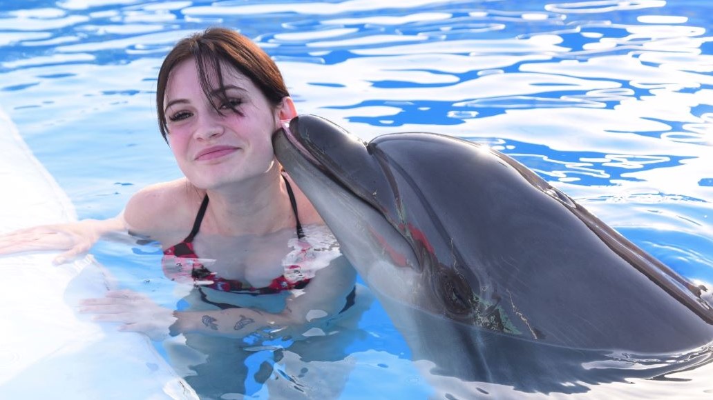 Dolphin Show & Swimming Experience