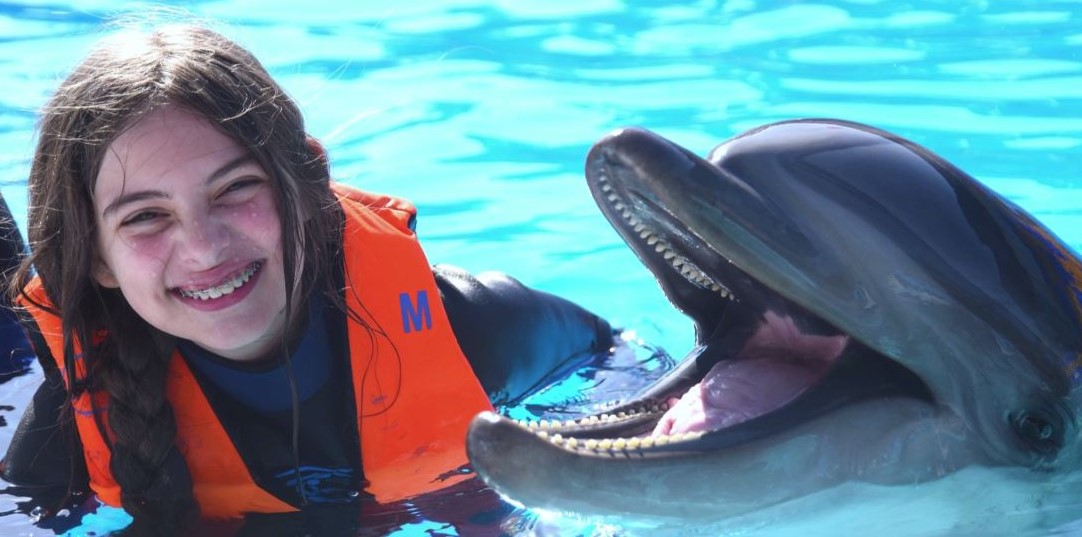 Dolphin Show & Swimming Experience
