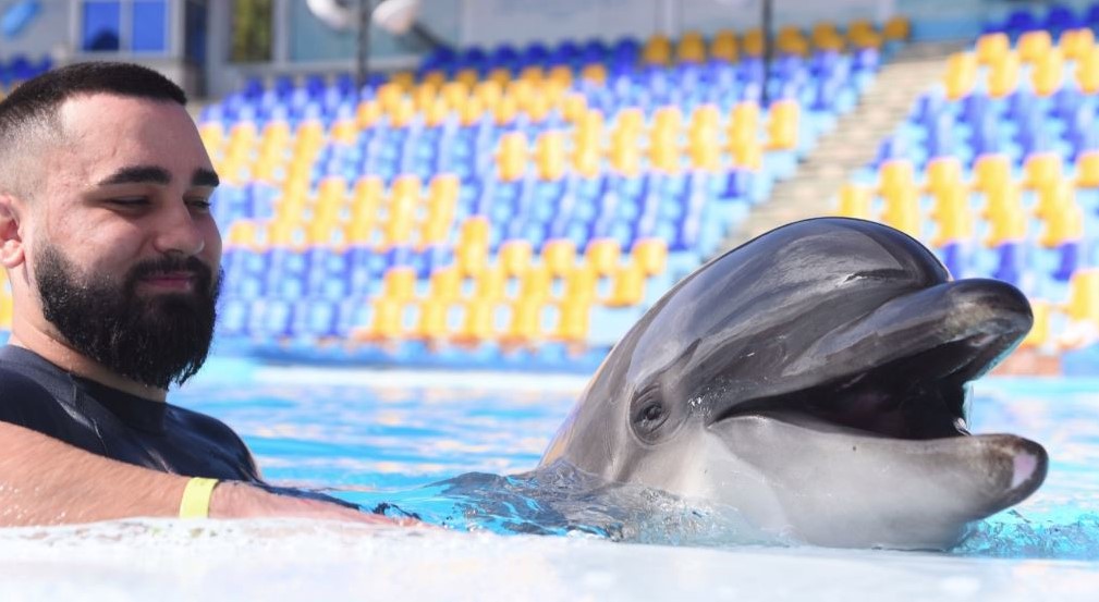 Dolphin Show & Swimming Experience