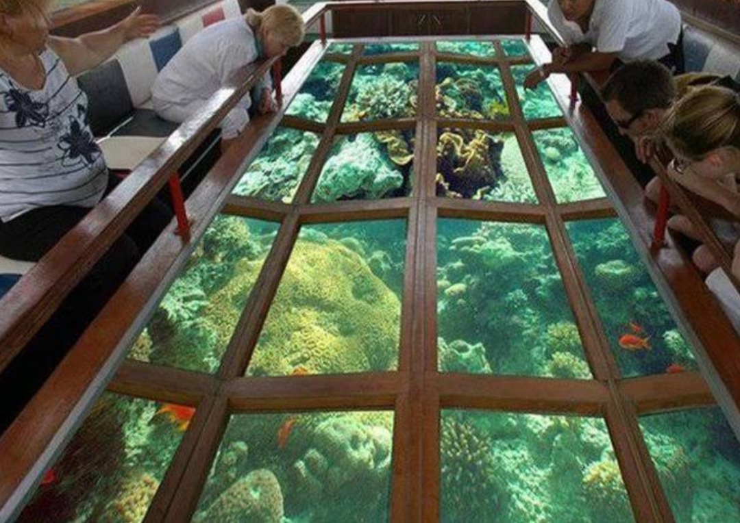 Glass-bottom Boat