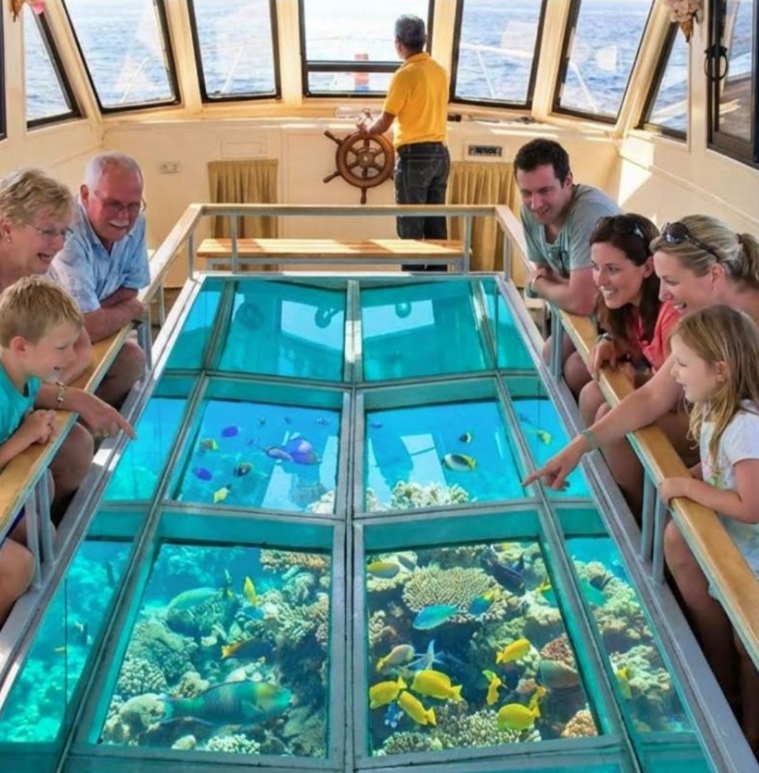 Glass-bottom Boat