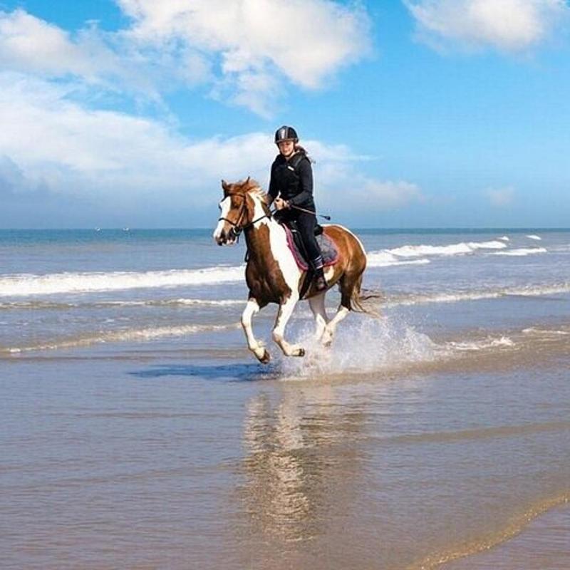 Sea Horse Ride