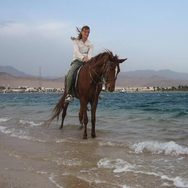 Sea Horse Ride
