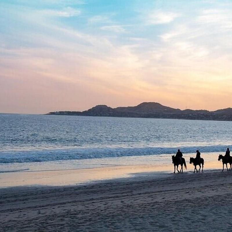 Sea Horse Ride