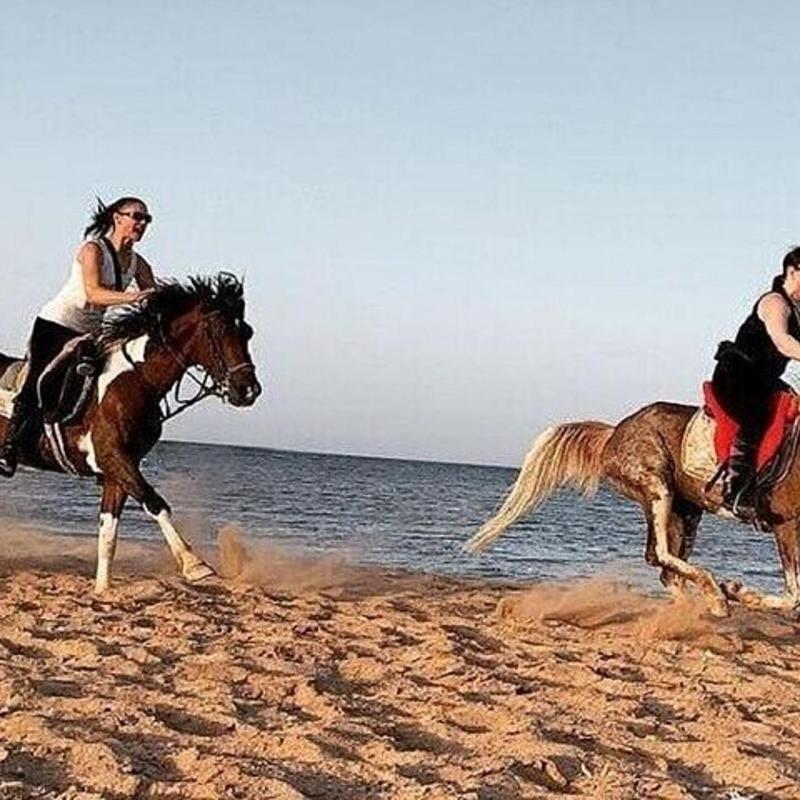 Sea Horse Ride