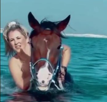 Sea Horse Ride