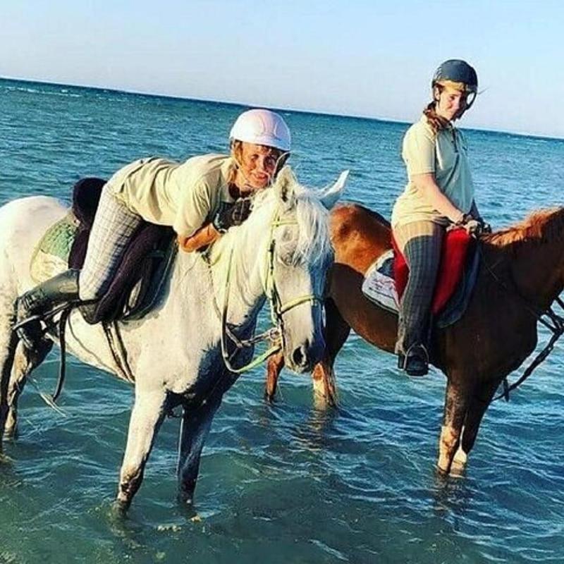 Sea Horse Ride