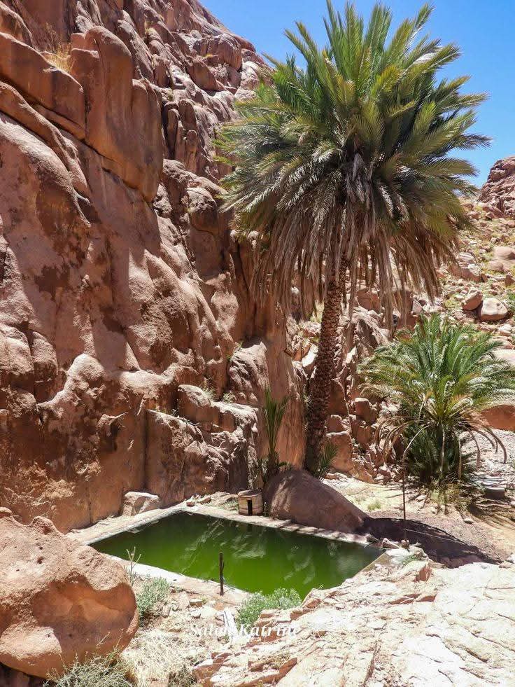 Mount Sinai and Saint Catherine Trip