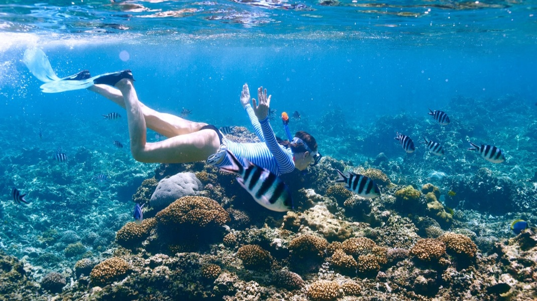 Ras Mohammed Trip – An Adventure of Nature and the Magic of Legends