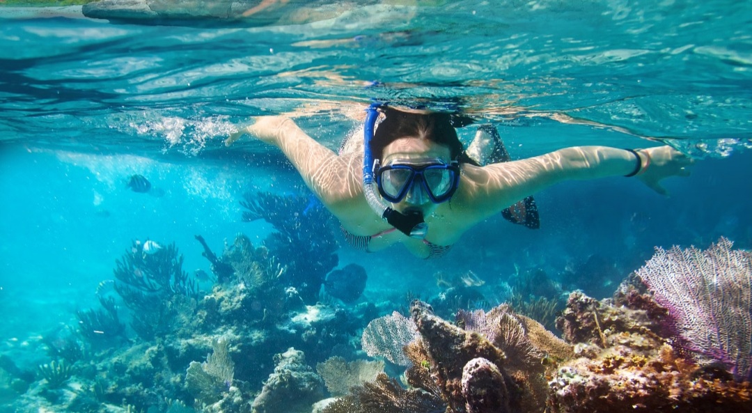 Ras Mohammed Trip – An Adventure of Nature and the Magic of Legends