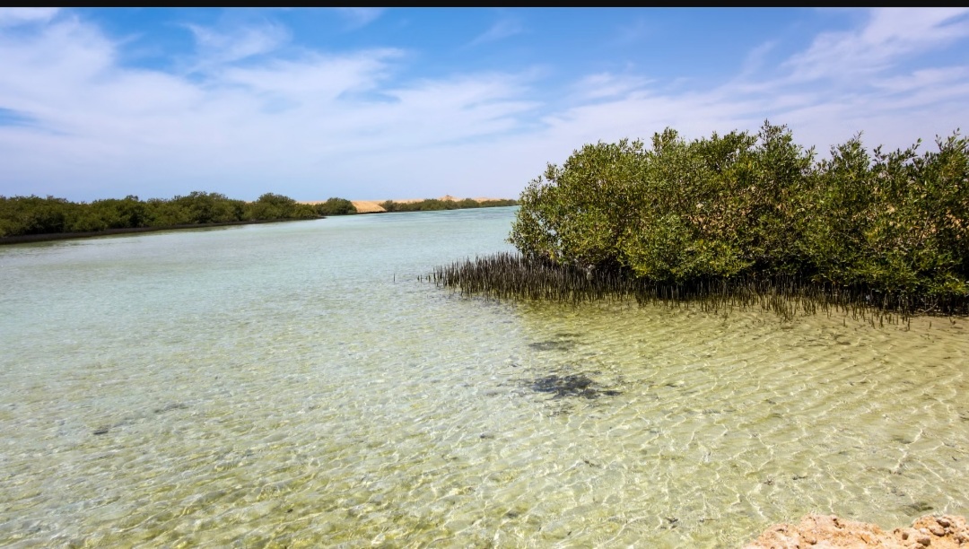 Ras Mohammed Trip – An Adventure of Nature and the Magic of Legends
