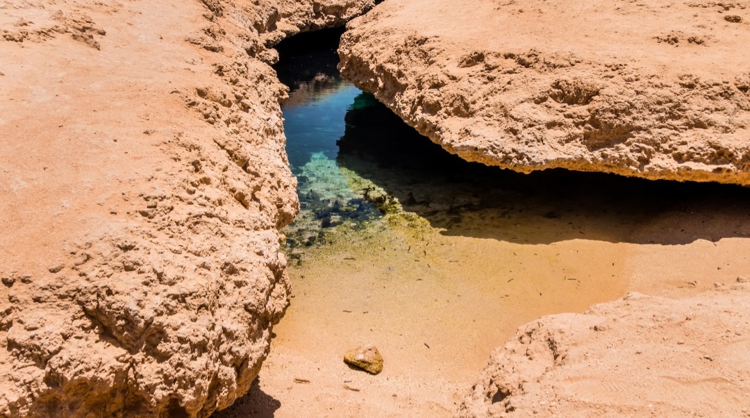Ras Mohammed Trip – An Adventure of Nature and the Magic of Legends