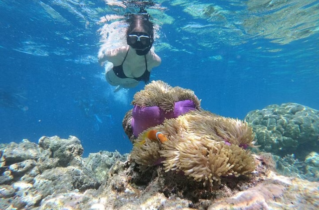 Ras Mohammed Yacht Trip + Intro Diving – A Nature Adventure