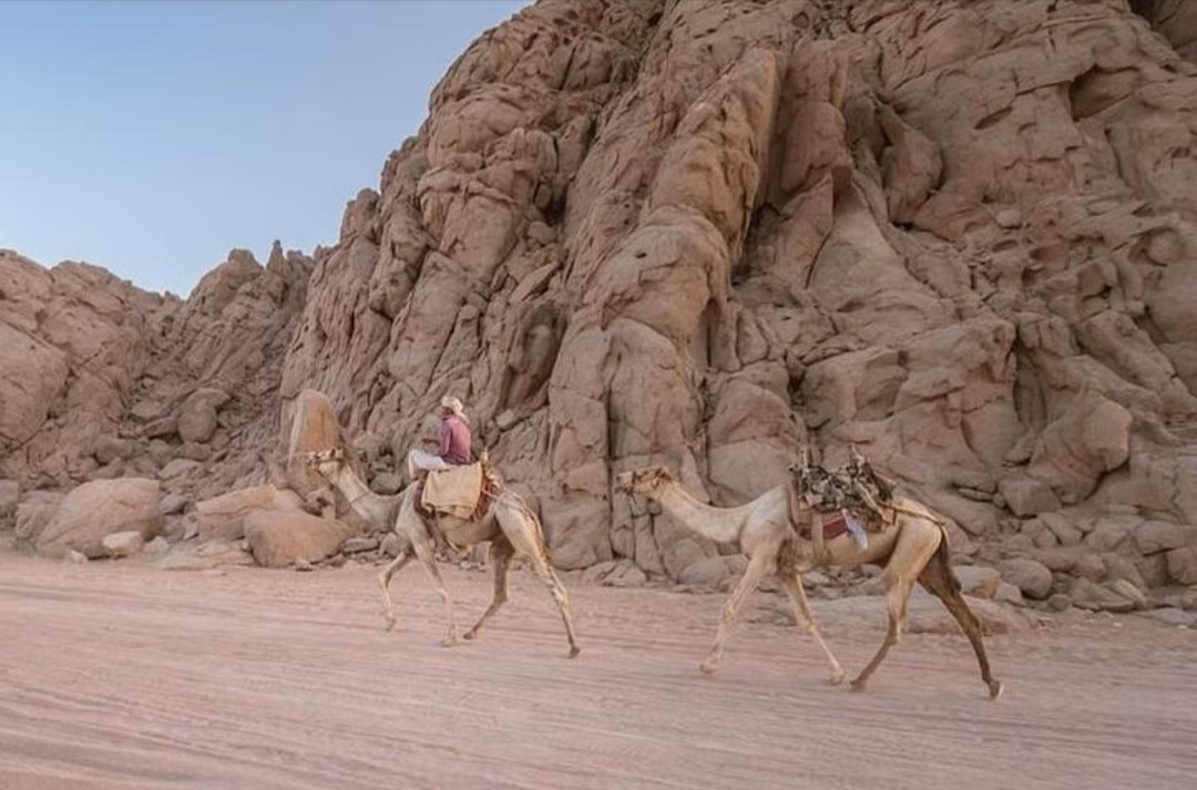 Desert Safari Quads ATV
