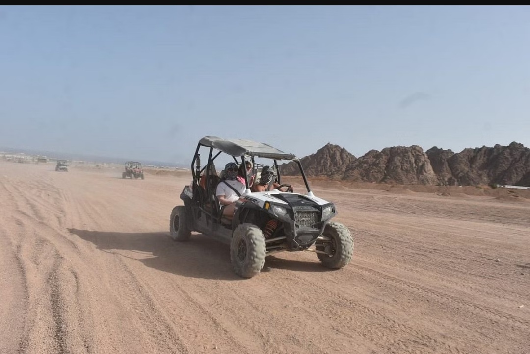 Desert Safari Car Buggy