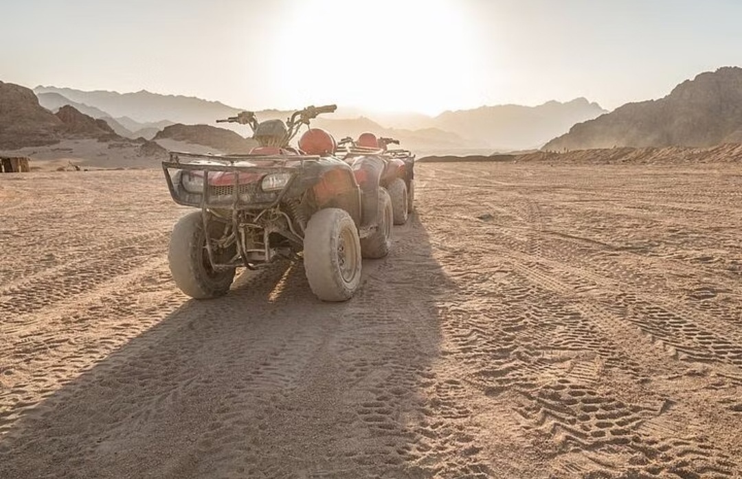 Super Safari Quad ATV, Camel & Bedouin Dinner