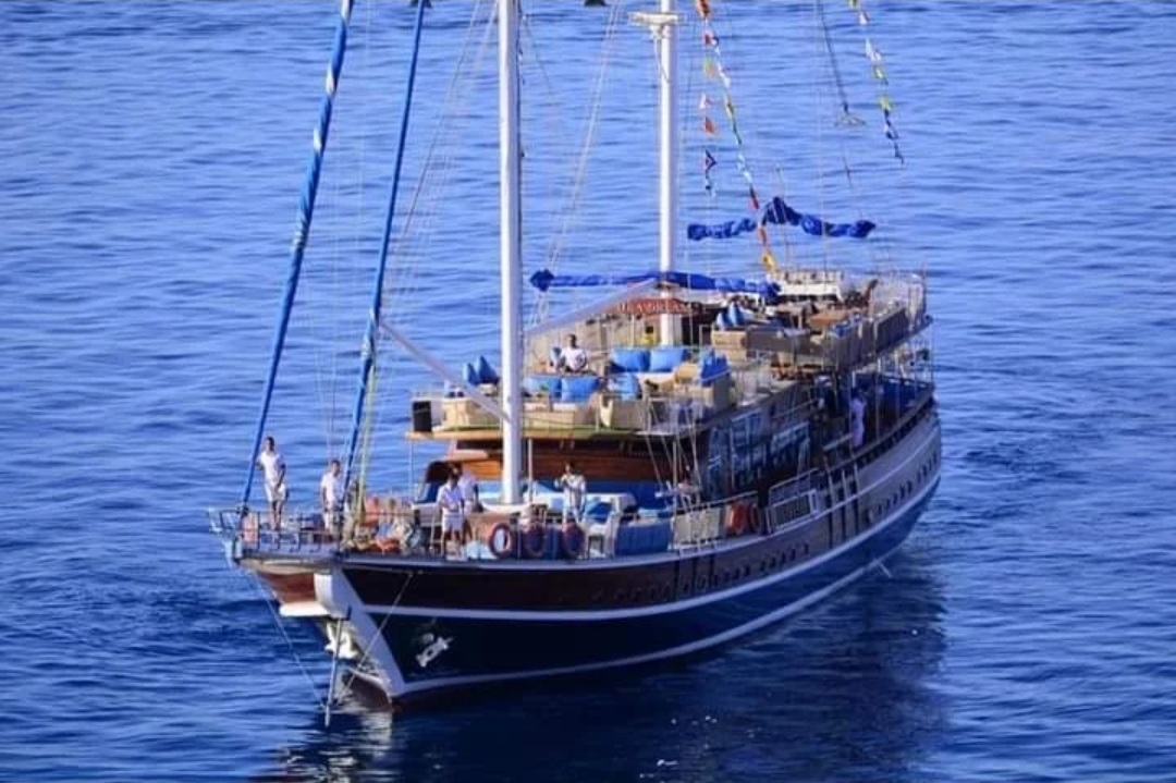 Sinai Dream Dinner Party