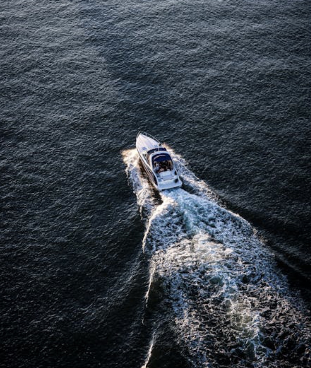 Water Games (Private Speed Boat)