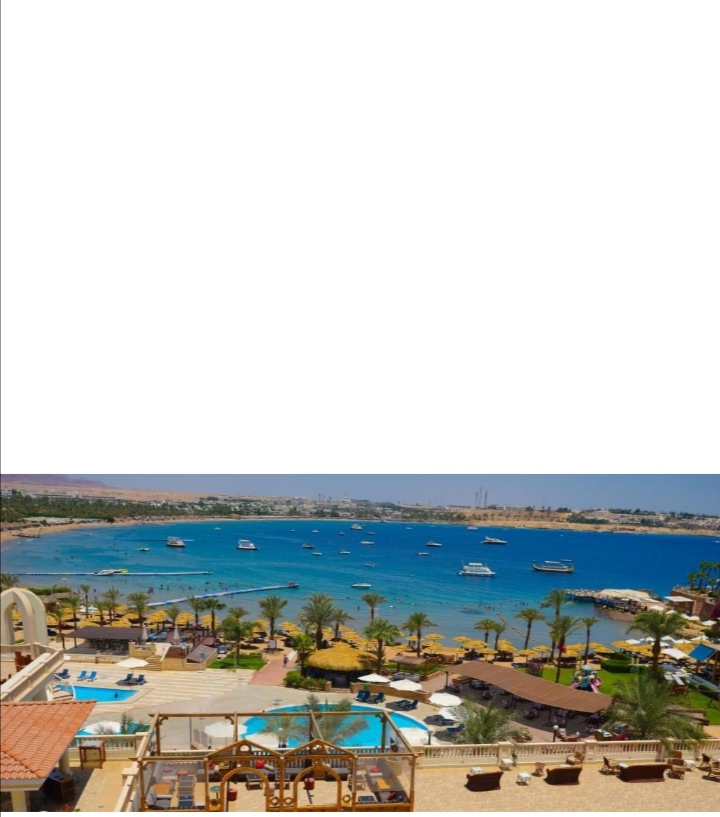 فندق مارينا
